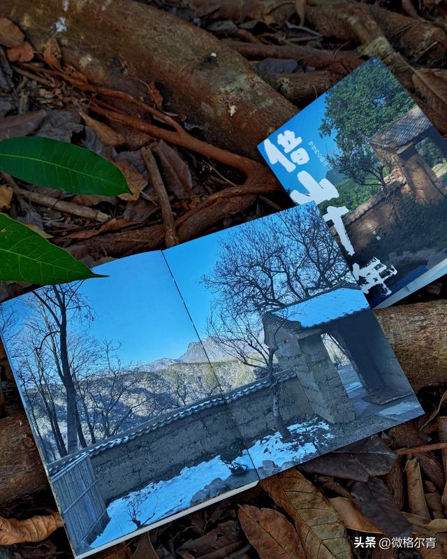 在终南山上隐居十年，是一种什么体验？