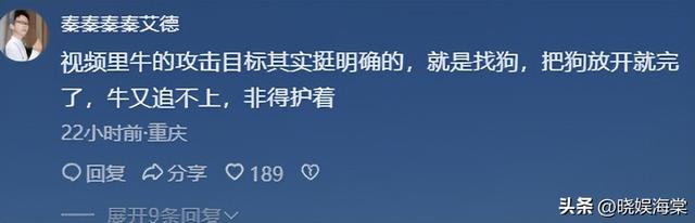 五台山游客被牛顶后：队友爆料，故意让狗挑逗小牛，当事人发声
