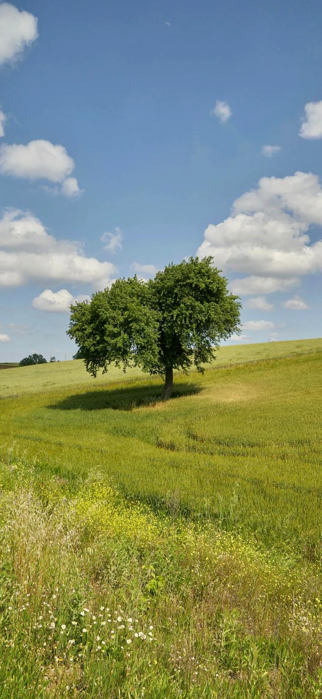 手机壁纸|iOS自然风光美景