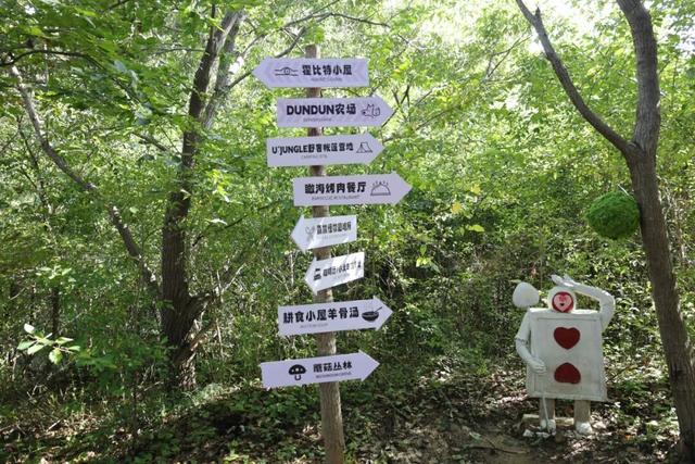 高粱红了！栗子熟了！在日照这里，玩出秋天的仪式感……