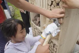 海淀已建成11个生物多样性保育小区，人工鸟巢八成已入住图片