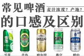 啤酒常见种类有哪些，产地哪里！看过来！今天就分享给你们！图片