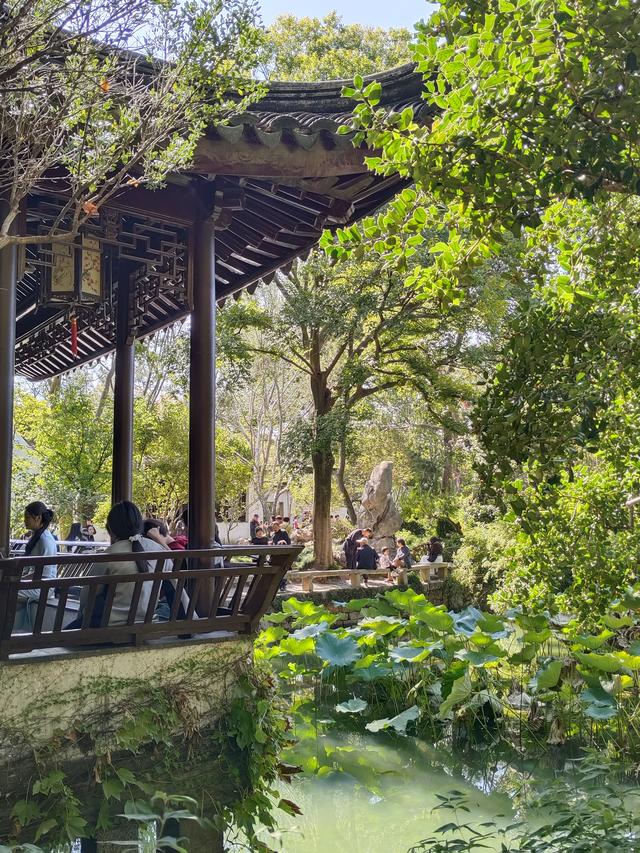 踏入苏州拙政园才懂得什么叫“一园藏尽江南梦”