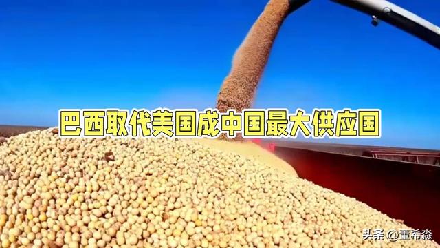 谁“偷走”了美国豆农的中国市场