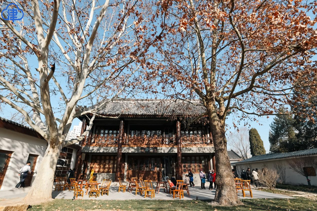 【津云镜头】人民公园“千橘澄院”开放，闲置空间变身江南园林