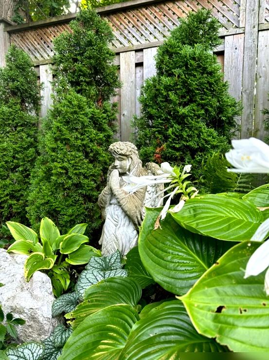 “阴花不能进阳宅”，家里若有这5种花！请赶紧“搬出去”！