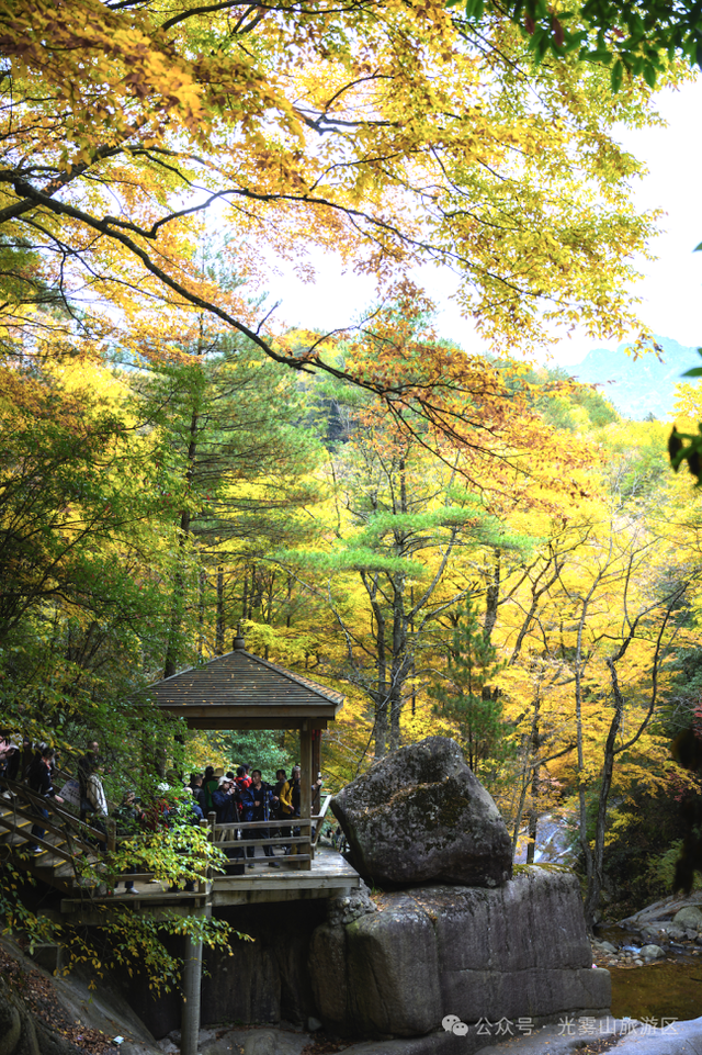 宝子你听我说，近期天气好、红叶美，光雾山可以冲了!