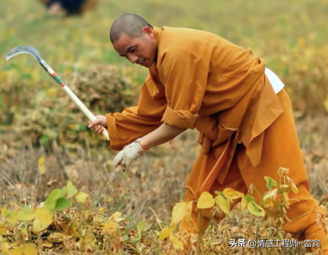 上任才1天，印乐法师和美女大量合影被扒，与释永信区别太明显！
