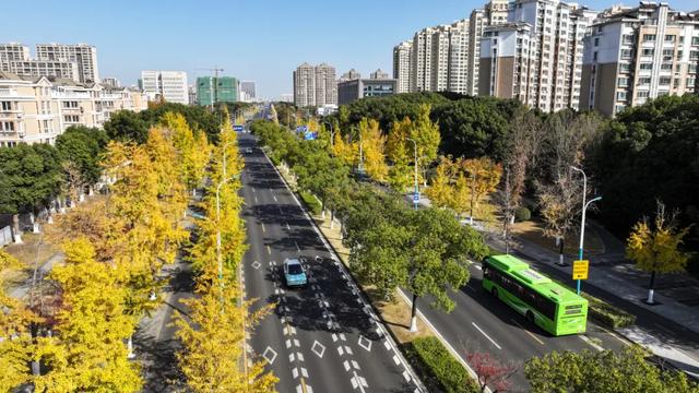 20个点位已公布！张家港人拍照请抓紧