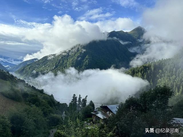 浪浪山的晚风，吹醒了谁的梦