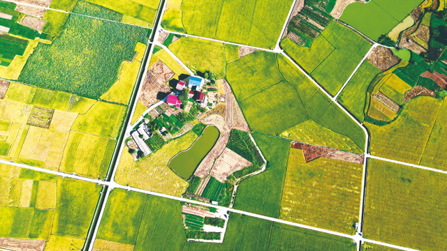 巫山：秋日巫峡 斑斓画卷