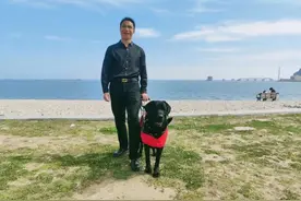 快看！芜湖第一只导盲犬来了图片
