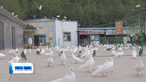 暑期亲子休闲好去处 柳林三大公园变身儿童乐园