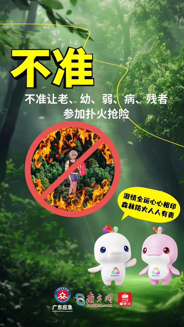森林特别防护期，严禁这些行为→