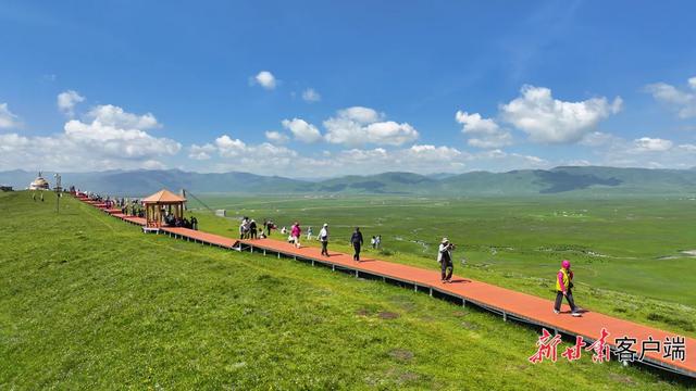 玛曲:夏日黄河上游最美的生态画卷
