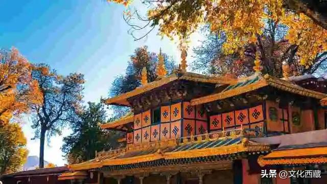 2025最香旅行！冬游西藏10个必去免费景区，这波羊毛不薅亏大了！