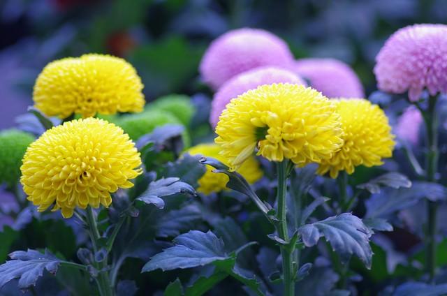 两性关系	，最舒服的四种方式，让感情越来越好