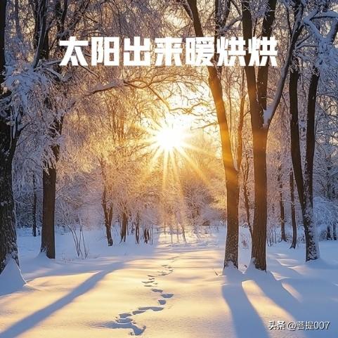 三九快过完，气温不降反升？老话“最怕三九晴又暖”，有啥预兆？