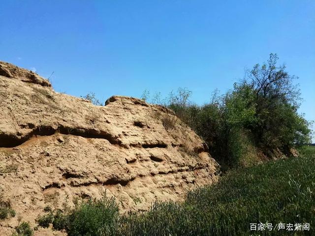 柏乡漫记：汉牡丹故里，千年古县的静好时光（周末游河北推荐）