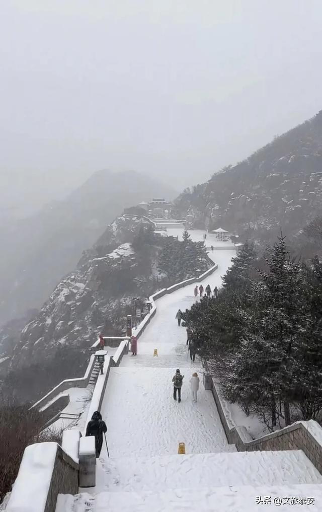 2025初雪到来！泰山限定版皮肤已上线，真是美到犯规啦！