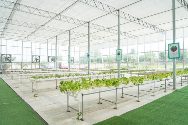 永福共享庄园：在徽式庭院里，做一场江南梦