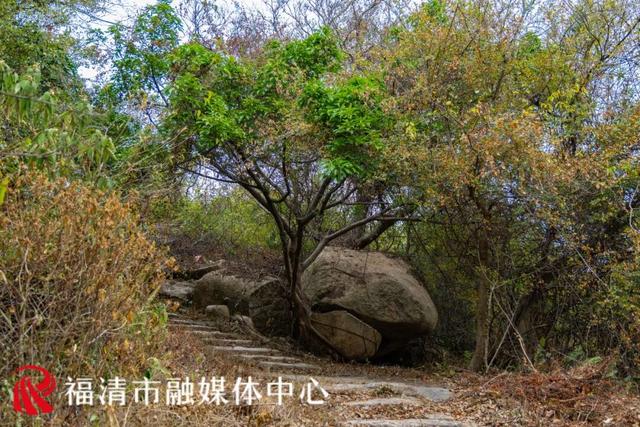 古道、奇石、竹海……福清这条徒步线路即将开放！