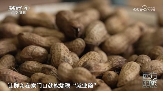 CCTV-4《远方的家》本期坐标：宁夏·银川🪂