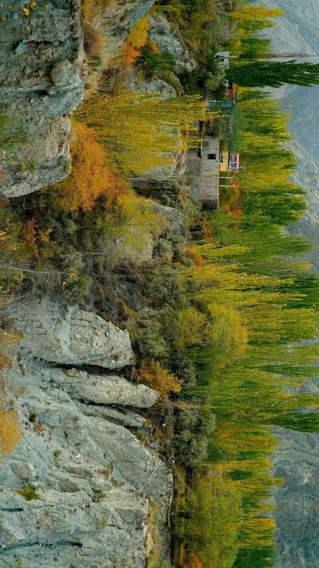 邢强 | 秋游南疆