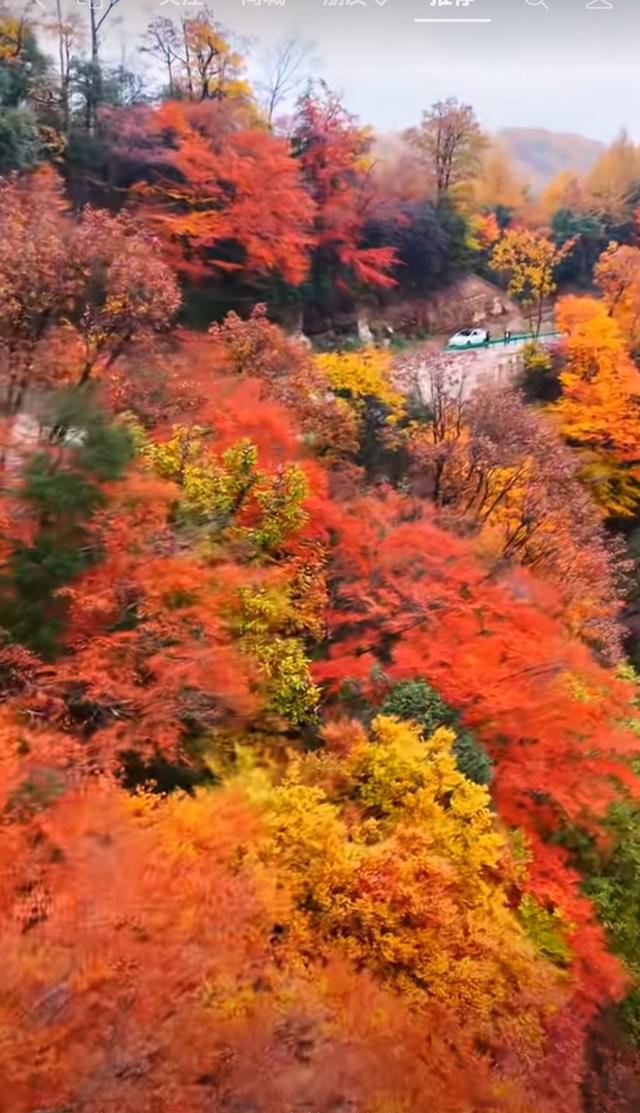 盐井峡的秋，是山野写给人间的信