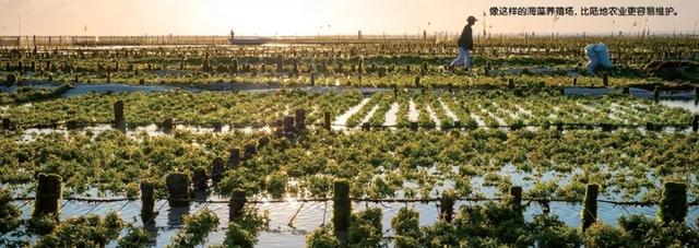 美国稀土技术革命性突破，可用效率达顶尖水平，中国地位遭威胁？