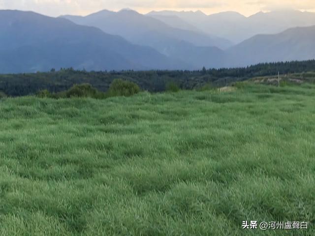 老鸦关避暑