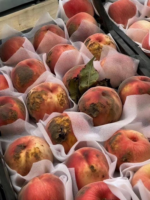 突发！大量“仅退款”涌入商家店铺