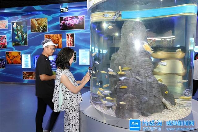 威海：博物馆里的“微缩海洋”，获采风团点赞！