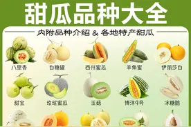 甜瓜品种大全图片