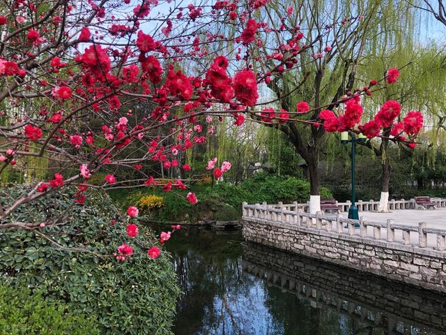 大量印尼游客涌入济南，打着旅游幌子不去旅游不吃美食	，为啥来？