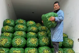 跨季尝鲜！苏州人的餐桌上蚕豆冬笋“喜相逢”图片