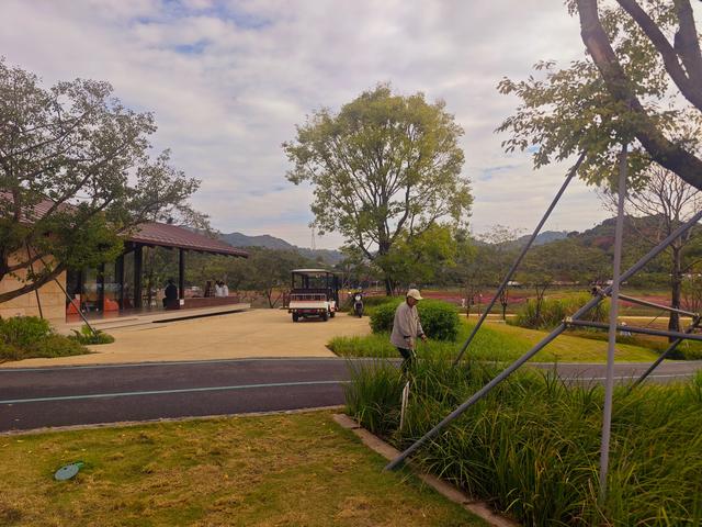 环西丽湖绿道骑行慢行随拍-动个好奇心