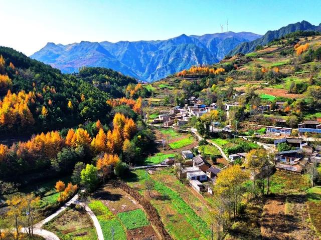 让我再看你一眼🧡