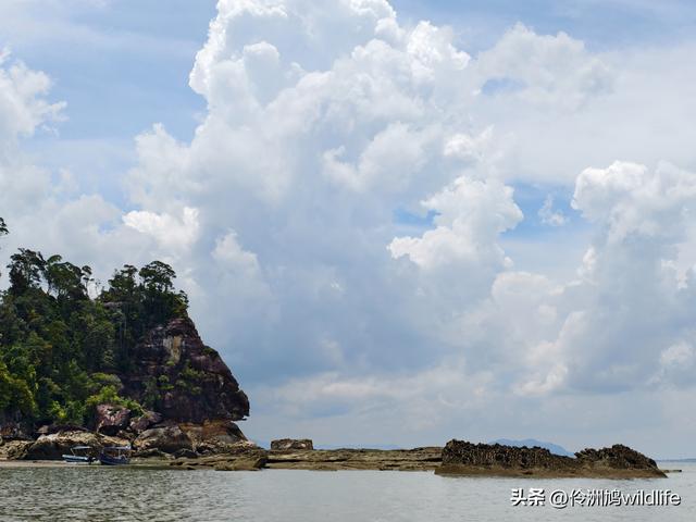 马来西亚(35)砂拉越州⑨峇哥国家公园徒步线路