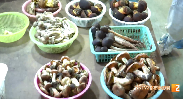逛菜市场像逛博物馆？昆明菜市场惊现“菜导”