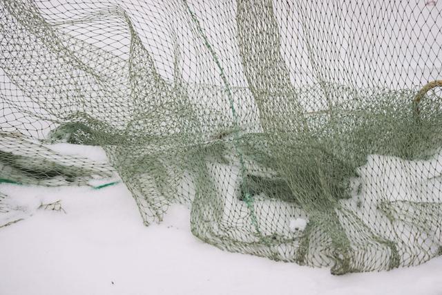 青岛西海岸新区，走进冰天雪地，今天是大寒！