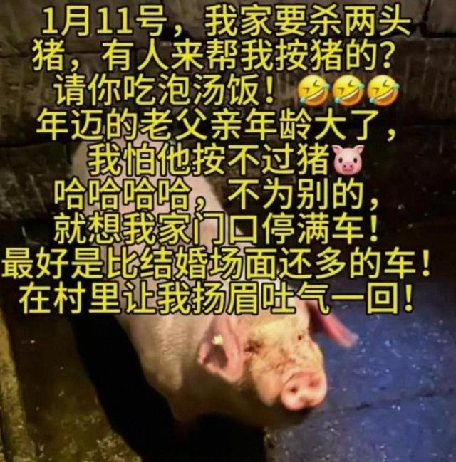 呆呆妹也没想到，杀猪宴收官才1天， 一家人就走上了大衣哥的老路