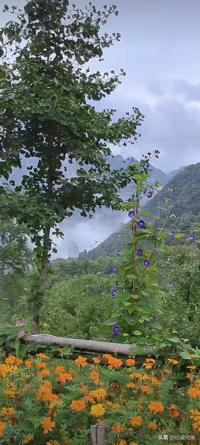 长白山简史：跨越时空的自然与人文传奇