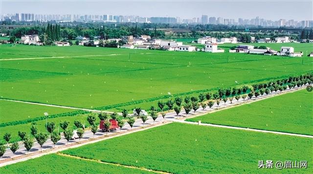 东坡交通铺就融合路 奏响文旅新乐章