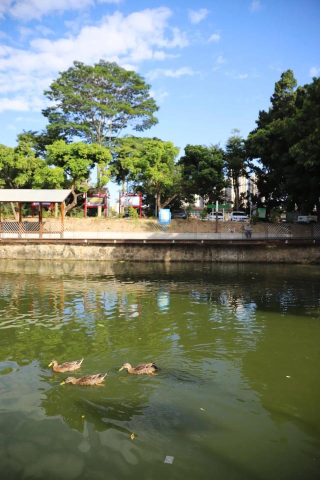 东莞有个宝藏地！下坝坊的24小时，从静谧古村到流光幻境