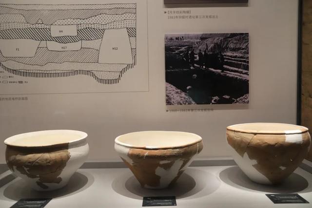 触摸仰韶：在渑池博物馆遇见华夏文明的第一缕曙光
