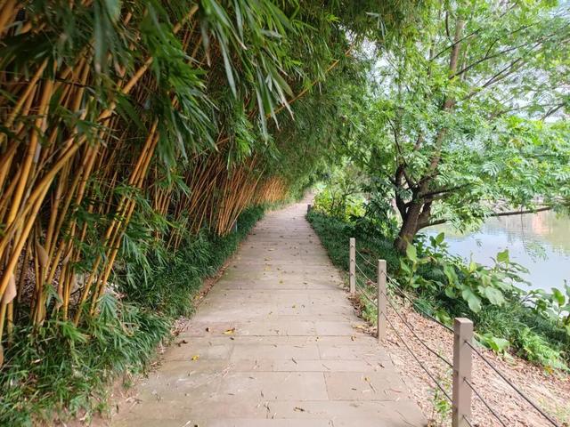 重庆巴南拥有多个历史文化古迹的街道，100米之内有三座古桥