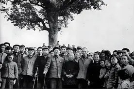 美国眼中的朝鲜战争八大名将排行：彭德怀仅排第2，谁排第1？图片