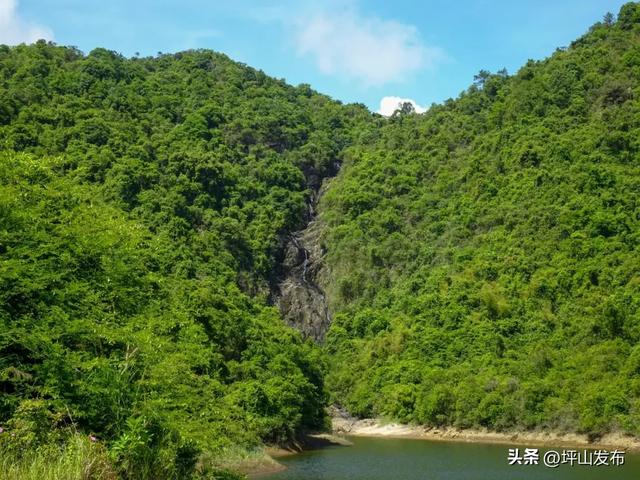 【网文】深圳风向:未来的坪山可能让你刮目相看