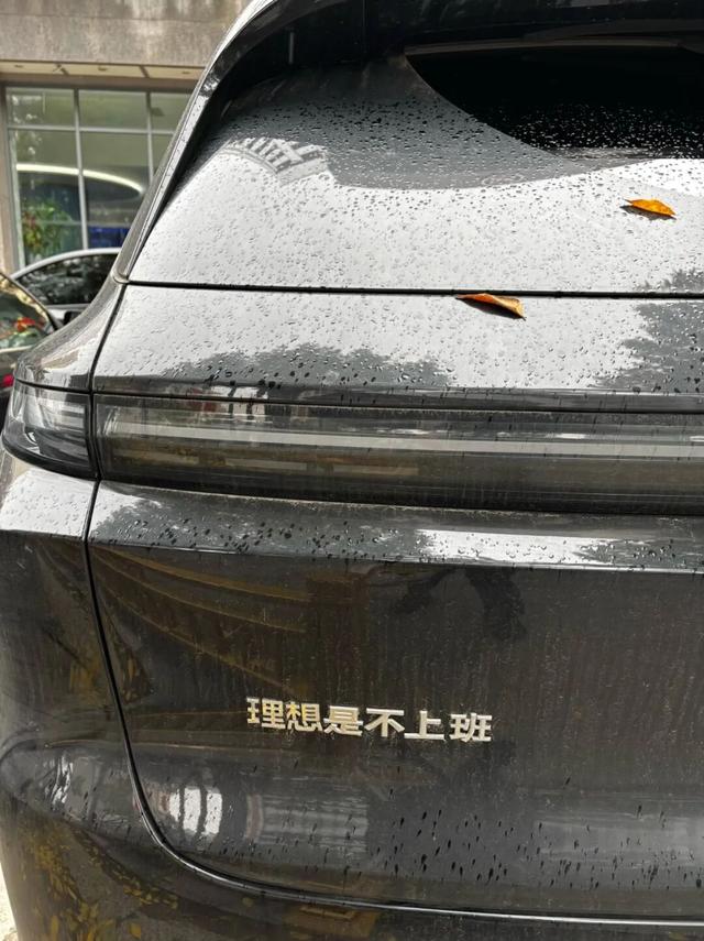10月，「需要另一个同类」